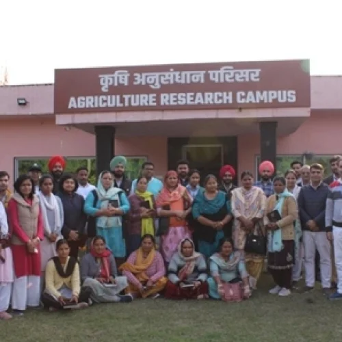 Punjab Krishi Sakhis Training